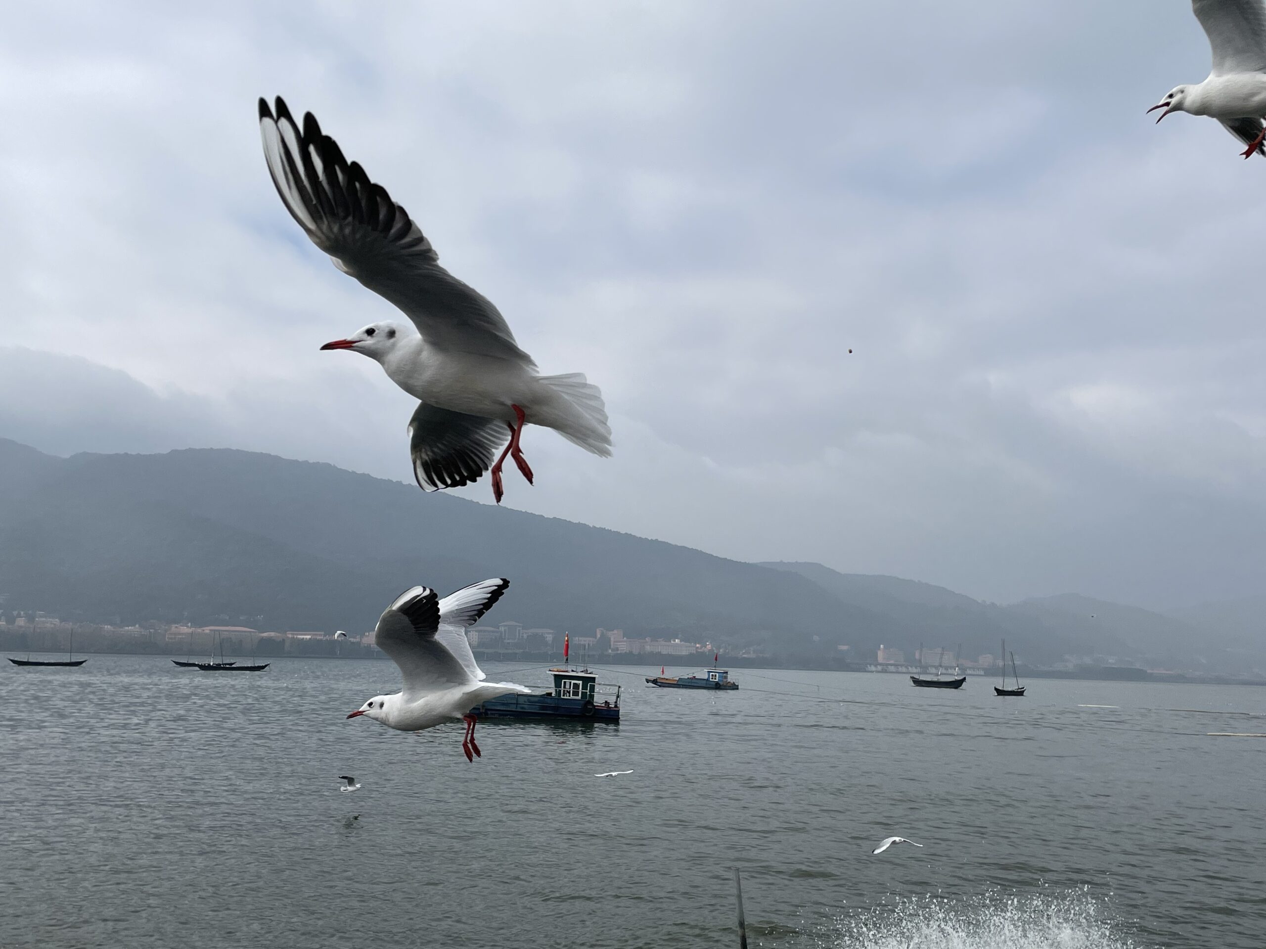 雲南省