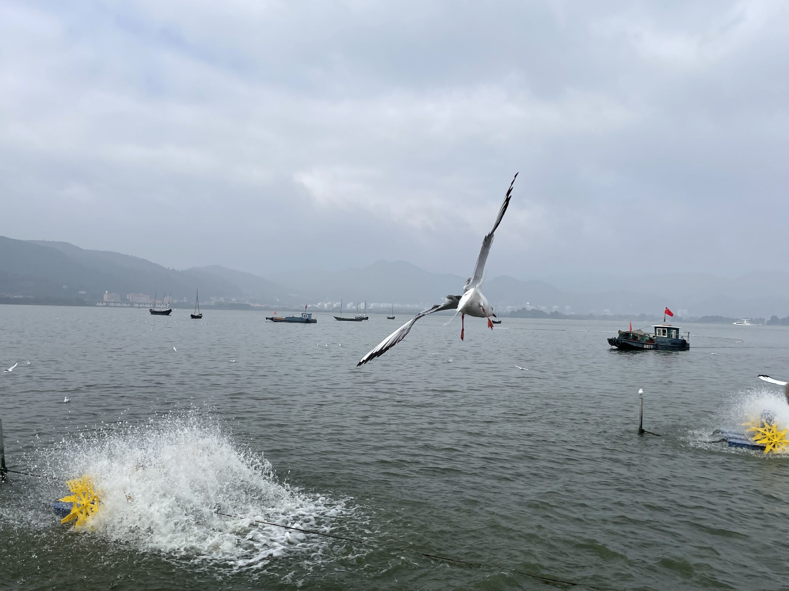 雲南省｜Yunnan