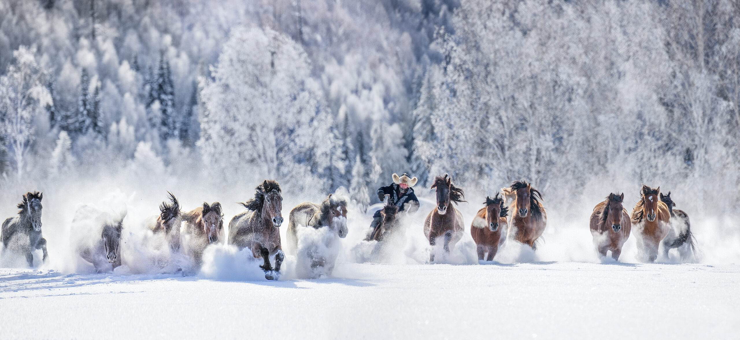 中国　全観光地徹底ガイド　マイ・パスポート　日本交通公社　昭和63年6月10日 中国 全観光地徹底ガイド マイ・パスポート 日本交通公社 昭和63年6月