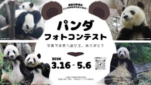 パンダフォトコンテスト開催のお知らせ